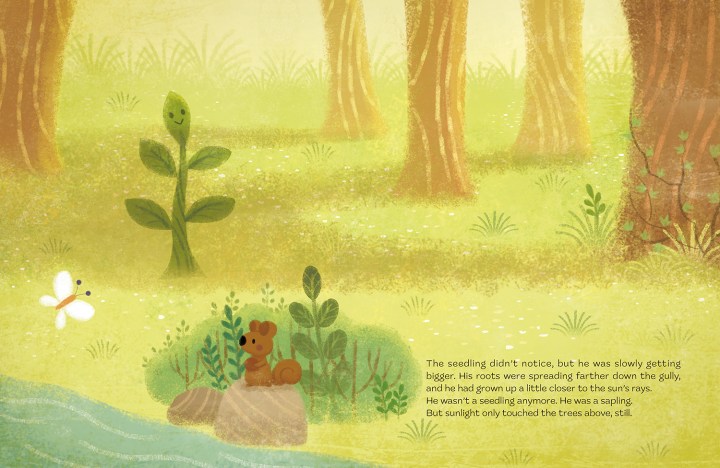 The Not-so-little Tree